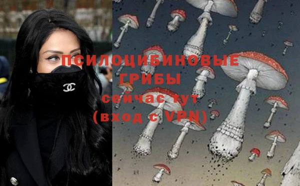 ALPHA-PVP Магас