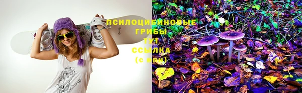 дурь Мегион