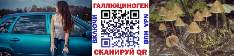 Псилоцибиновые грибы Psilocybe  Купить закладки  Анива 
